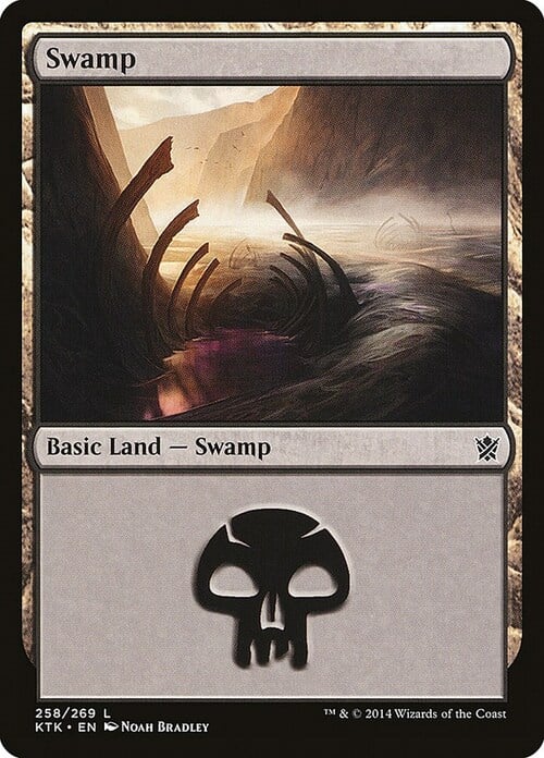 Swamp Card Front