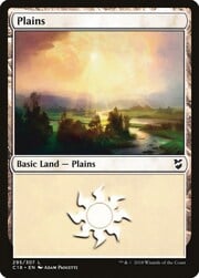 Plains · 295 295
