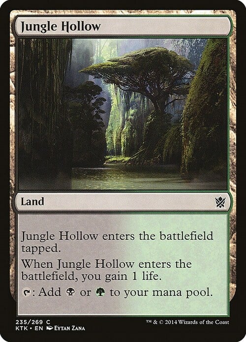 Jungle Hollow Card Front