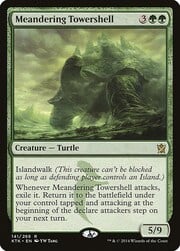 Meandering Towershell 141