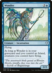 Wonder 056