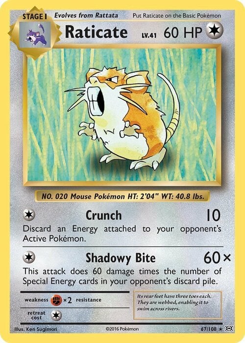 Raticate [Crunch | Shadowy Bite] Card Front