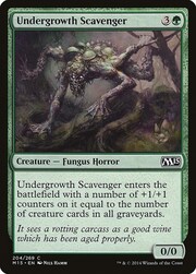 Undergrowth Scavenger 204
