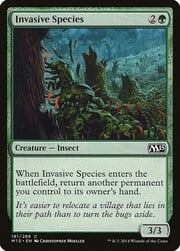 Invasive Species 181