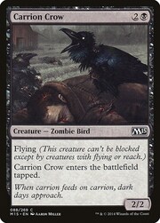 Carrion Crow 088