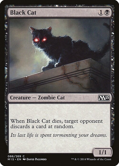 Black Cat Card Front