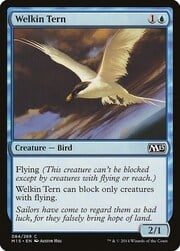 Welkin Tern 084