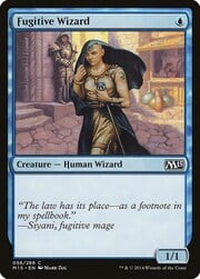 Fugitive Wizard 056