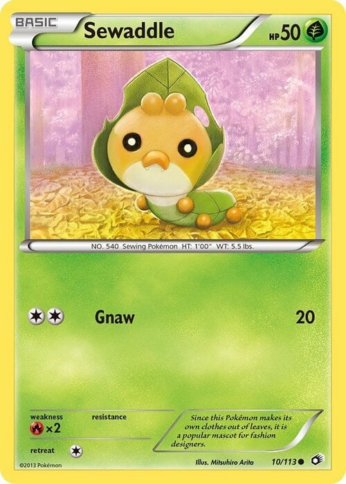Sewaddle Card Front
