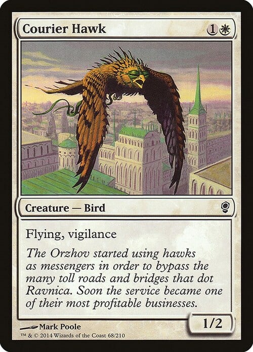 Courier Hawk Card Front