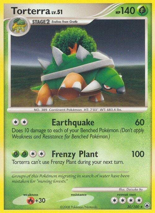 Torterra Lv.51 Card Front