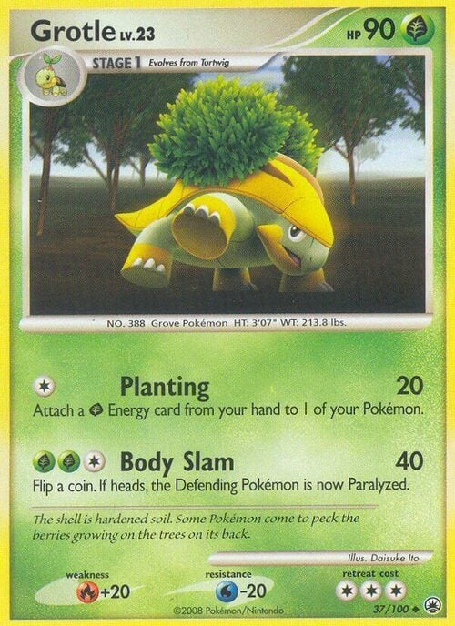 Grotle Lv.23 Card Front