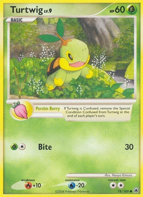Turtwig Lv.9 Card Front