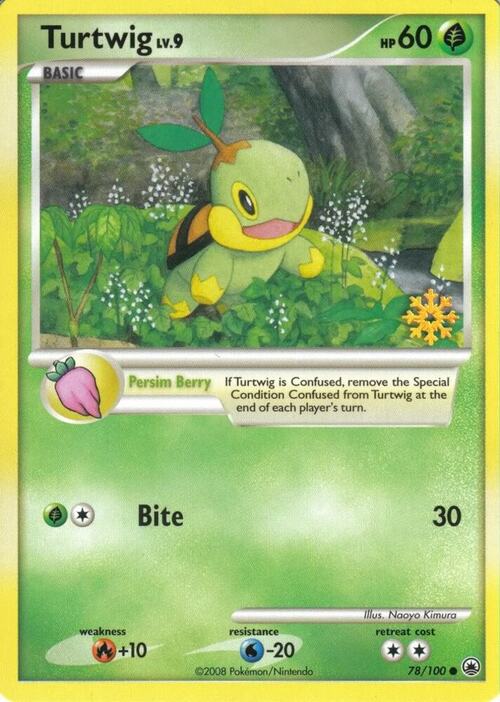 Turtwig Lv.9 Card Front