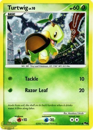 Turtwig Card Front