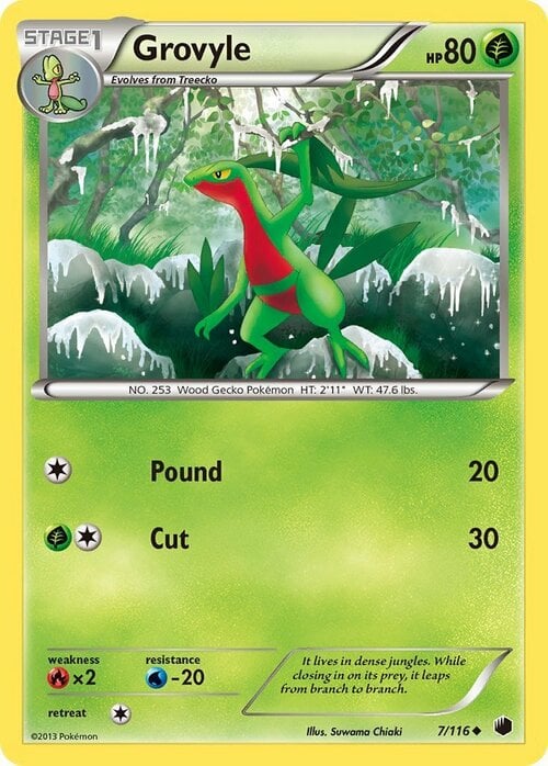 Grovyle Card Front
