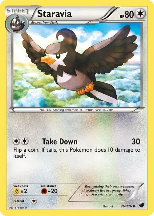 Staravia Card Front