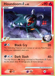 Houndoom Lv.45