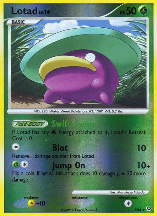 Lotad Lv.14 Card Front
