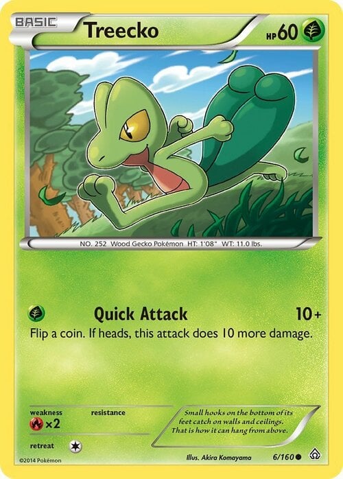 Treecko Card Front