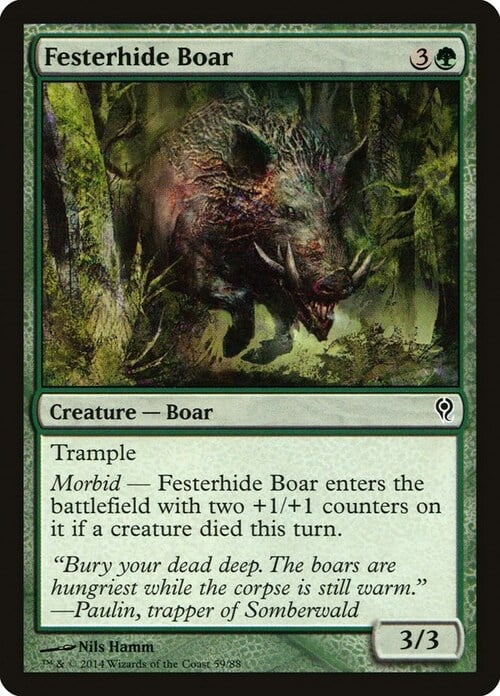 Festerhide Boar Card Front