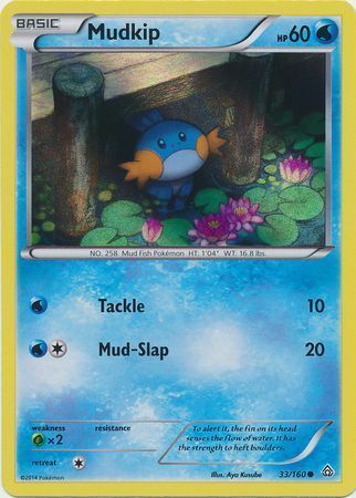 Mudkip Card Front