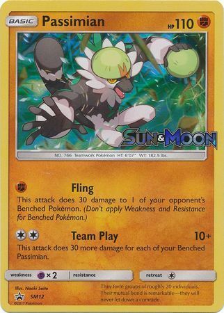 Passimian Card Front
