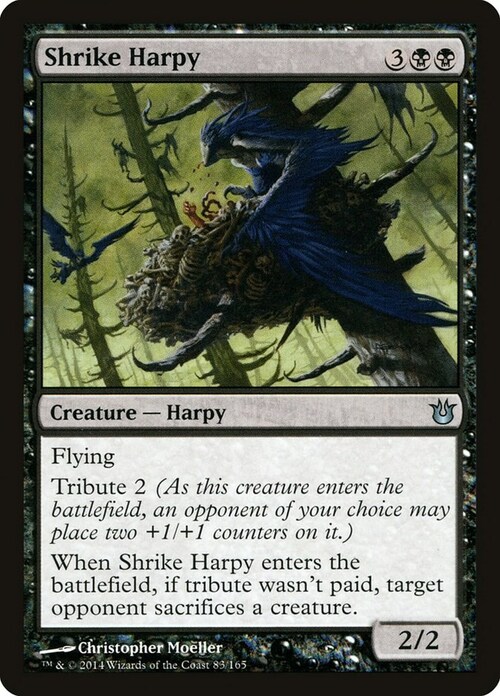 Shrike Harpy Card Front