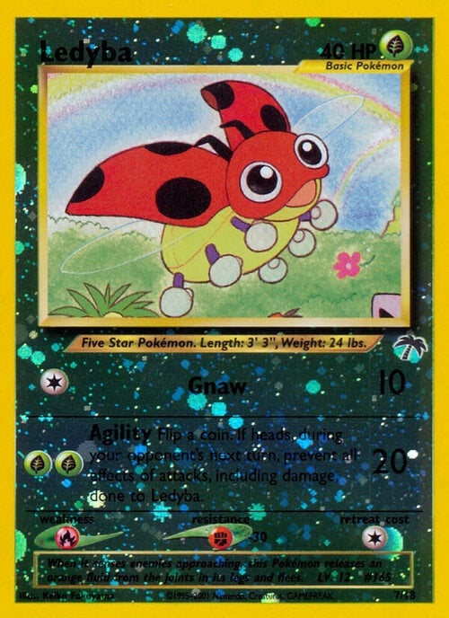 Ledyba Card Front