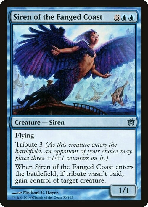 Siren of the Fanged Coast Card Front