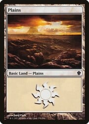 Plains · 339 339