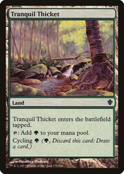 Tranquil Thicket 329