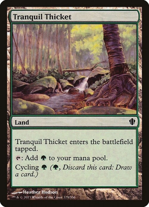 Tranquil Thicket Card Front