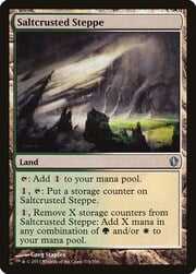 Saltcrusted Steppe 316