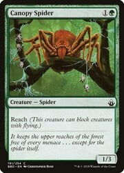 Canopy Spider 191