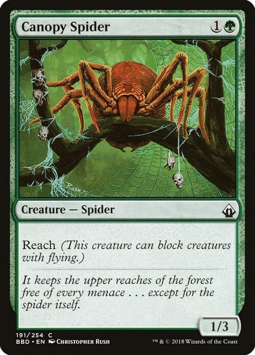 Canopy Spider Card Front
