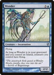Wonder 067
