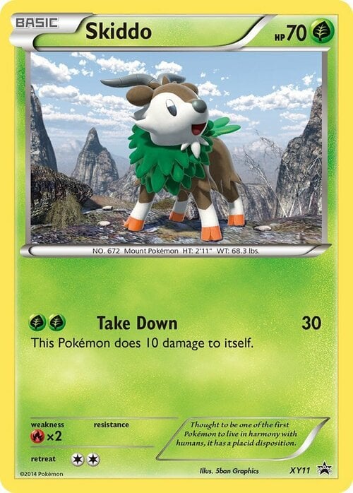 Skiddo Card Front