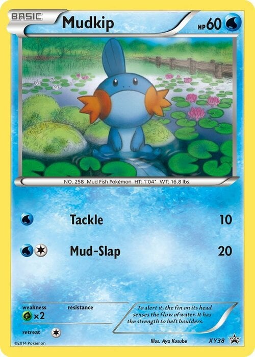 Mudkip Card Front