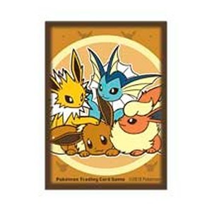 65 Eevee Friendship Sleeves
