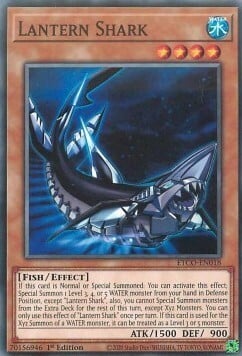 Lantern Shark Card Front