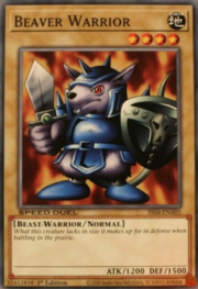 Beaver Warrior · Common 005