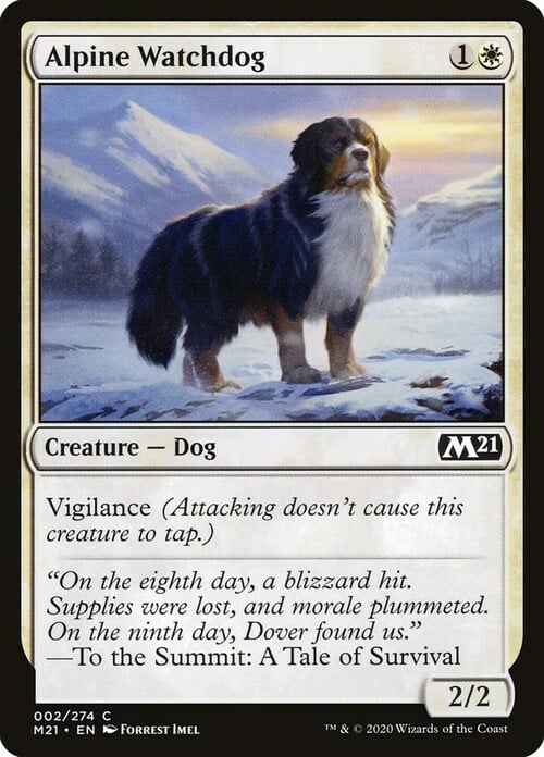Perro guardián alpino Frente