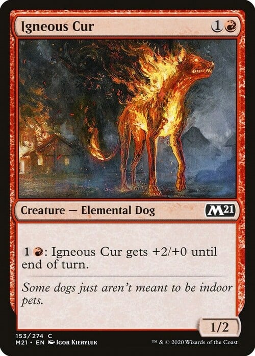 Igneous Cur Card Front