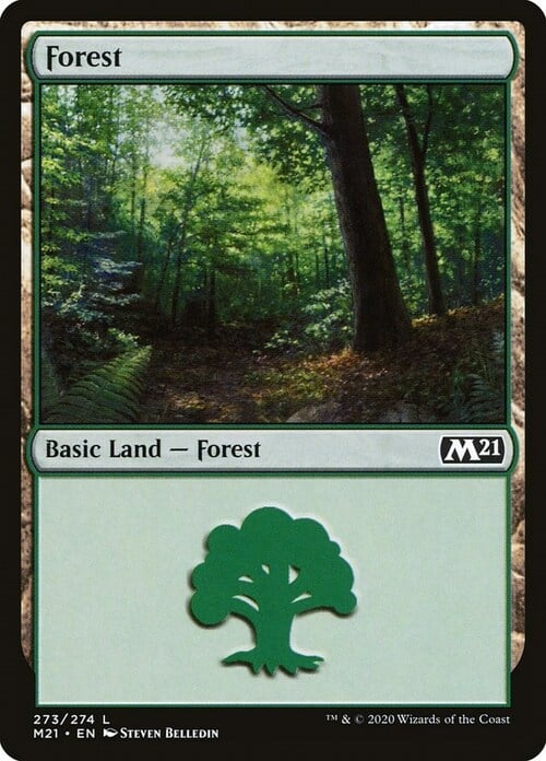 Forest Card Front