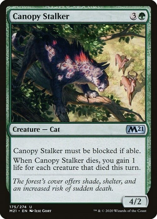 Canopy Stalker Card Front
