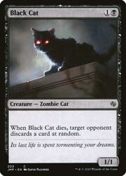 Black Cat 203