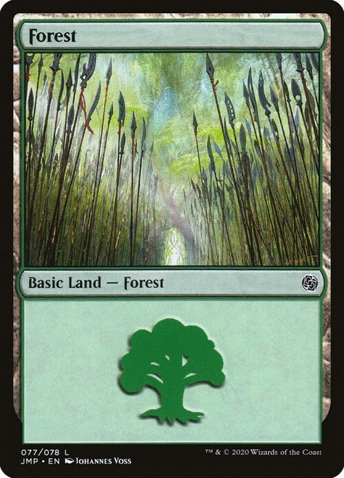 Bosque Frente