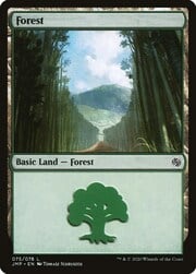 Forest · 075 075