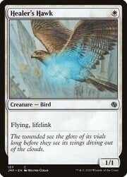 Falco del Guaritore